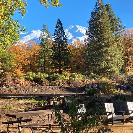 מאונט שסטה Basecamp Lodge מראה חיצוני תמונה